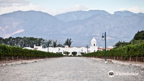 Bodega El Esteco