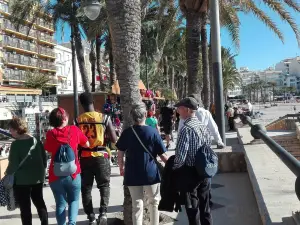 Parc Municipal El Palmeral Elche