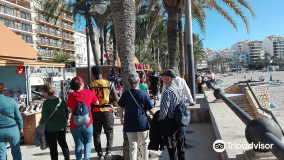 Parc Municipal El Palmeral Elche