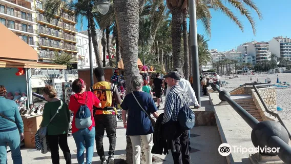 Parc Municipal El Palmeral Elche