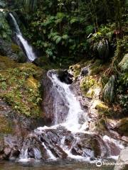 Guadeloupe National Park