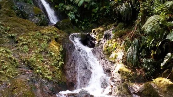 Guadeloupe National Park