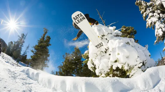 Red River Ski Area