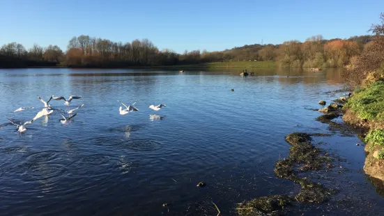 Colwick Country Park