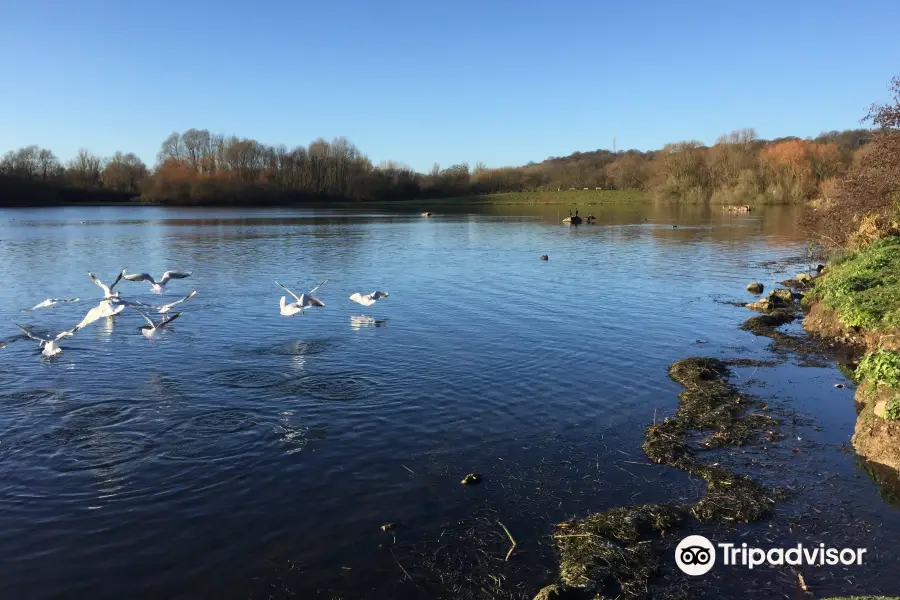 Colwick Country Park