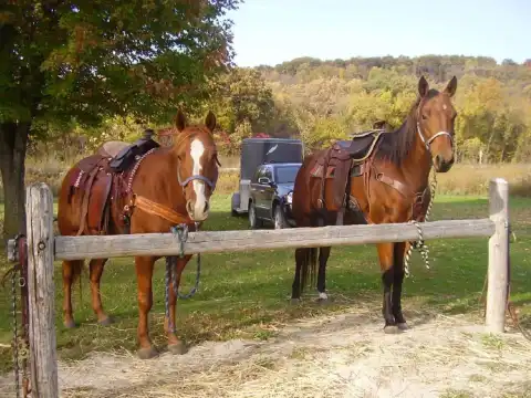 Hotels in Fayette County