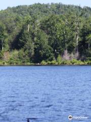 Goose Pond Reservation