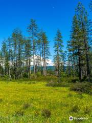 Eight Dollar Mountain Botanical Area