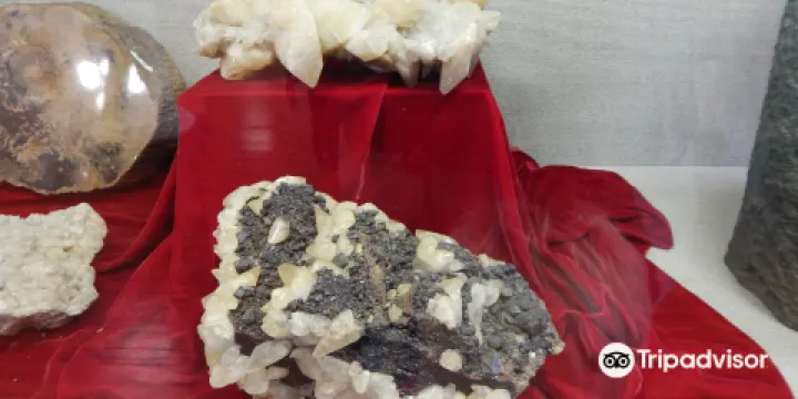 Alabama Museum of Natural History