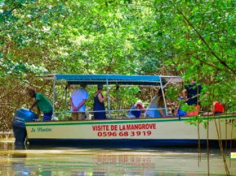 Le Mantou Excursion Mangrove Martinique