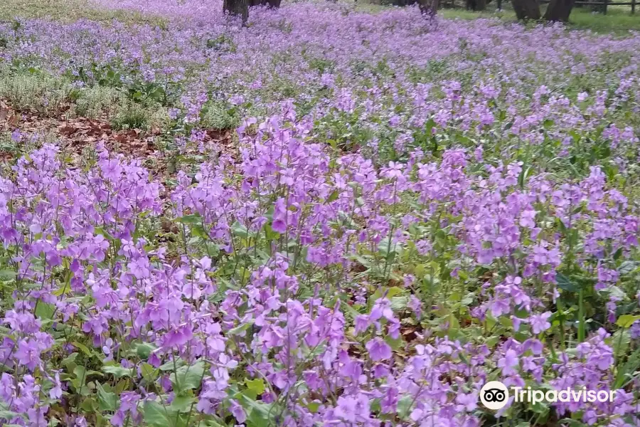 野火止緑地総合公園 (野鳥の森)