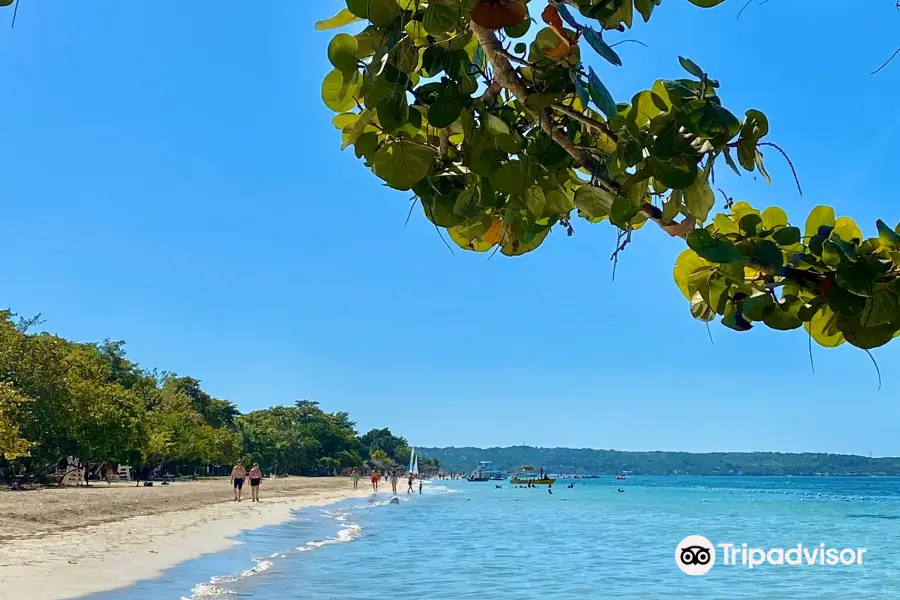 Long Bay Beach Park