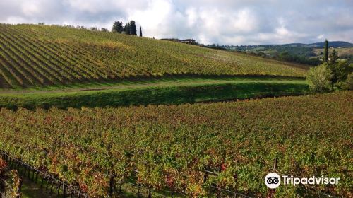 Ruffino - Tenuta di Poggio Casciano