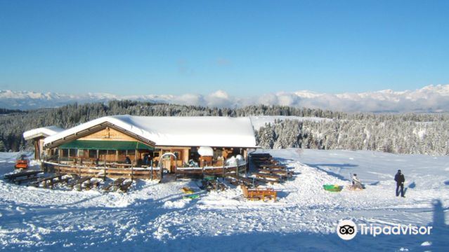 Ristorante Bar Malga Varena