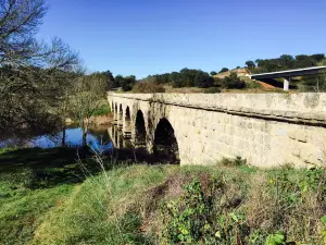 Bridge of Vila Formosa