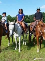 Rockin N Stables