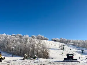 Bottineau Winter Park