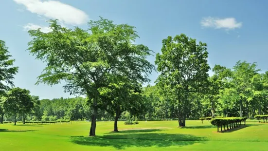 Donguri Park