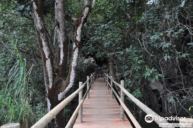 Parque Estadual da Lapa Grande