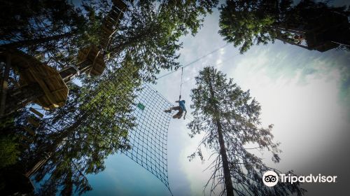 Voss Active High Rope & Zip-Line Park