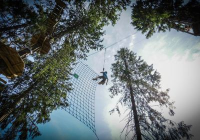 Voss Active High Rope & Zip-Line Park