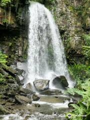 Melincourt Waterfalls