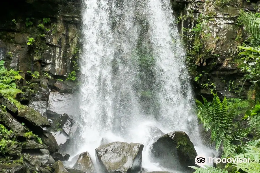 Melincourt Waterfalls