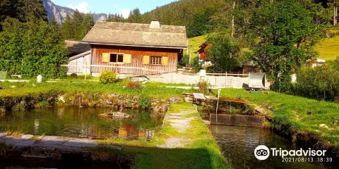 Pisciculture des Meuniers