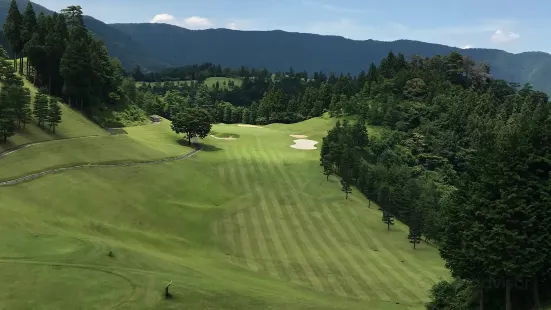 Ace Golf Club - Fujioka Courses