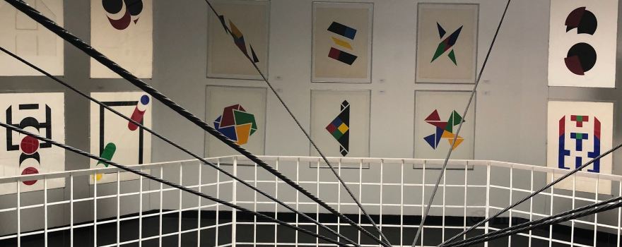 Museo Rayo