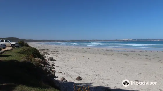 Bridgewater Bay Beach