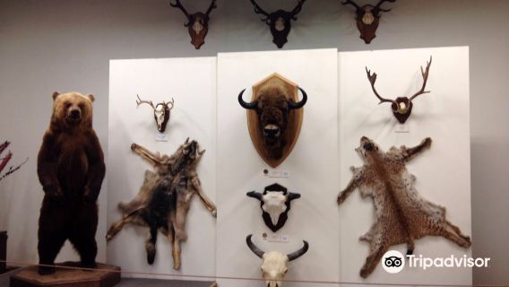 Kaunas Tadas Ivanauskas Museum of Zoology