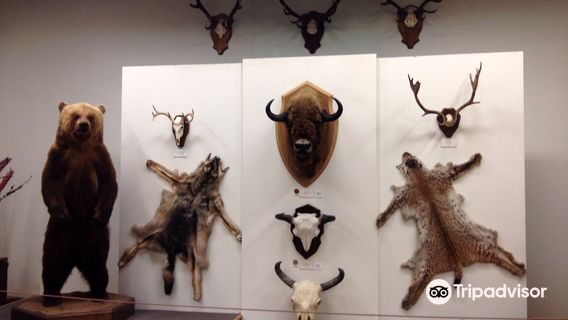 Kaunas Tadas Ivanauskas Museum of Zoology