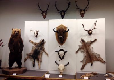 Kaunas Tadas Ivanauskas Museum of Zoology