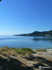 Montague Harbour Marine Provincial Park