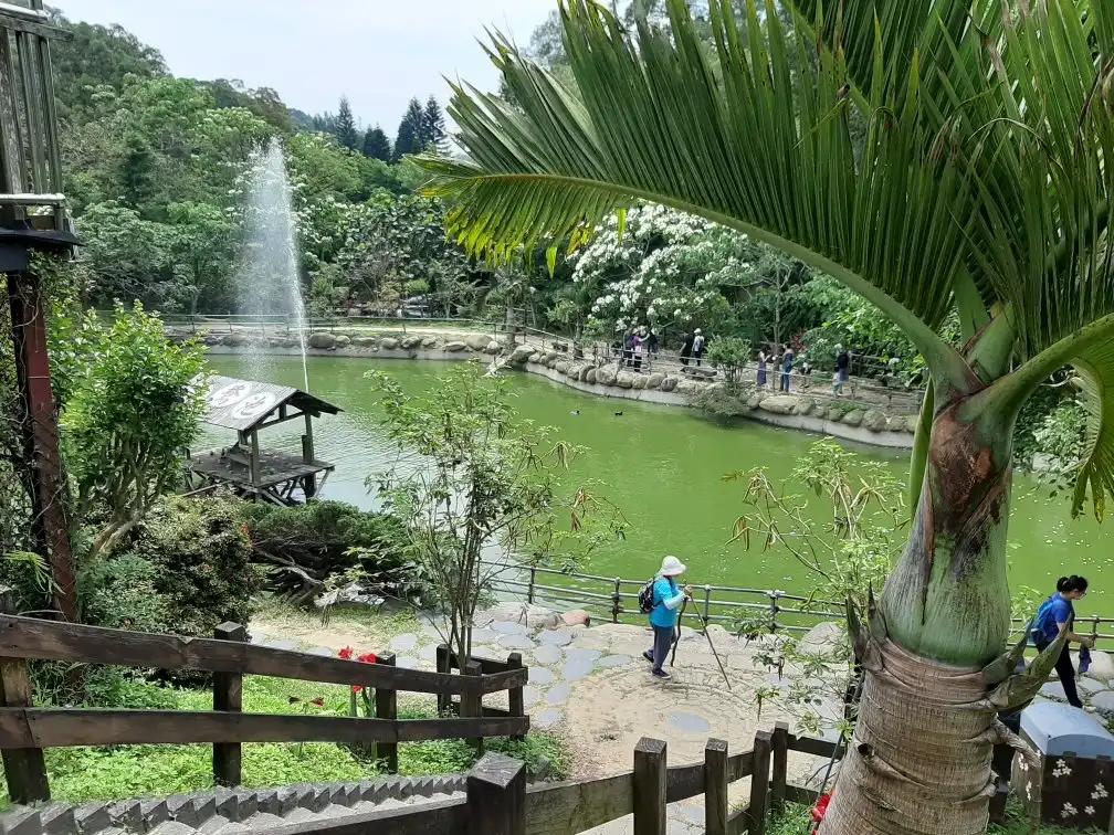 Lagerstroemia Subcostata Lake Recreation Farm附近的飯店