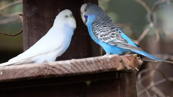 タンネンカンプ・ヴォルガスト動物園