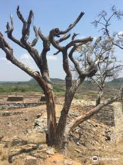 Dananombe Ruins