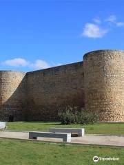 Alcazar de Toro