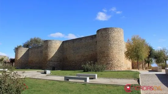 Alcazar de Toro