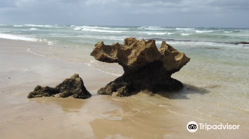 Lappiesbaai Public Beach