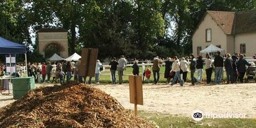 Le Cez - Sheepfold National De Rambouillet