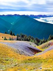 Hurricane Ridge