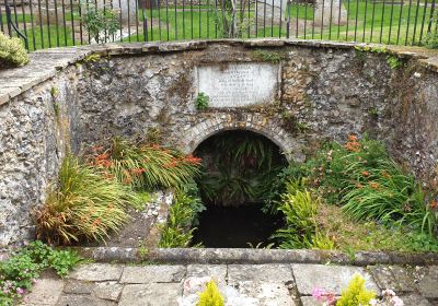 St. Withburga's Well