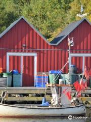 Fischereihafen Boltenhagen