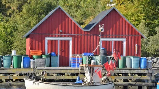 Fischereihafen Boltenhagen