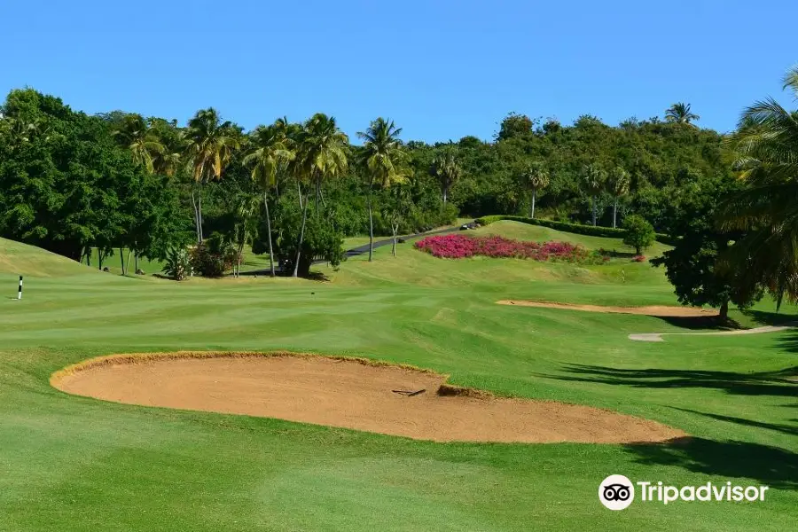 El Conquistador Golf Course