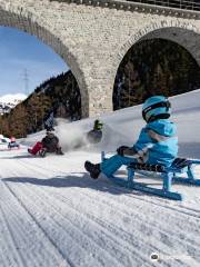 Bergün Filisur Tourism -Sled Track