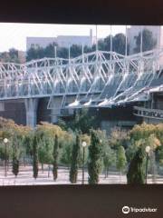 Centro de Tecnificación Deportiva Alicante