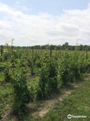 Hermann J. Wiemer Vineyard